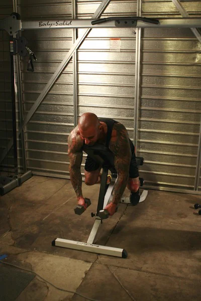 Prone Rear Delt Raise