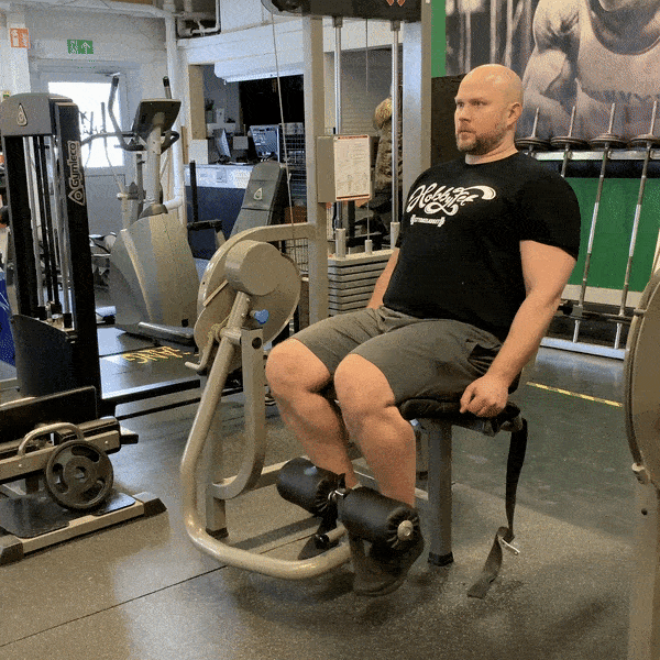 Seated Leg Extension