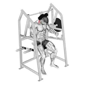 Neck Extension