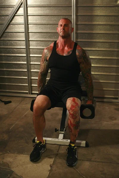 Seated Shrug